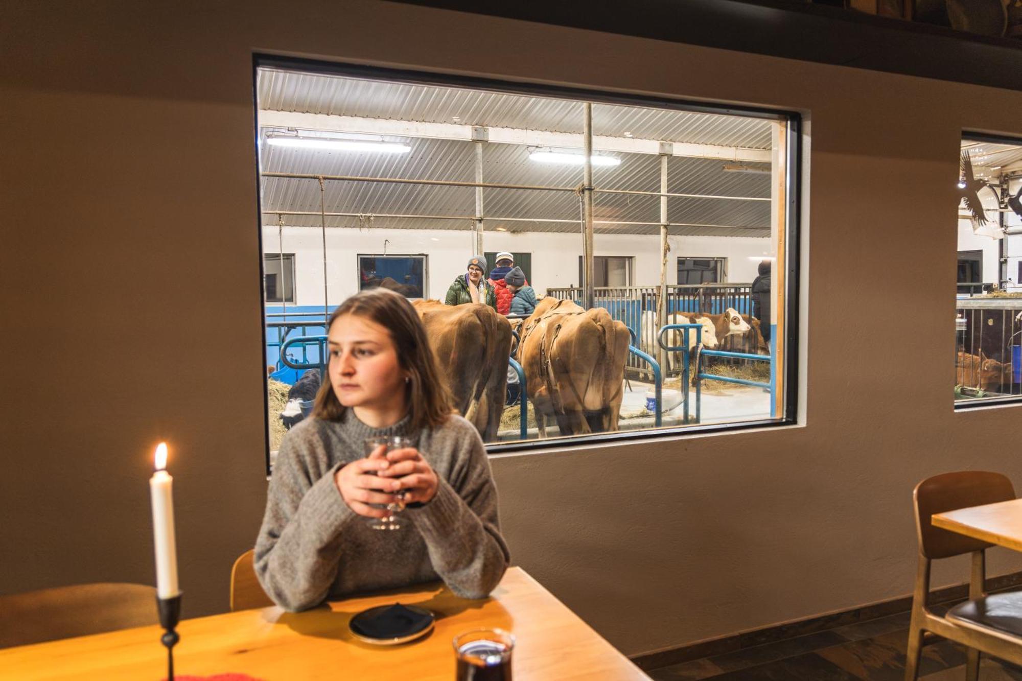 Vogafjós Farm Resort Mývatn Eksteriør billede