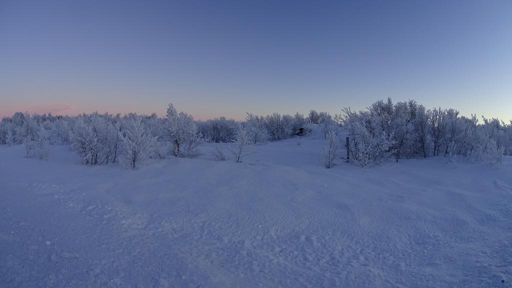 Vogafjós Farm Resort Mývatn Eksteriør billede